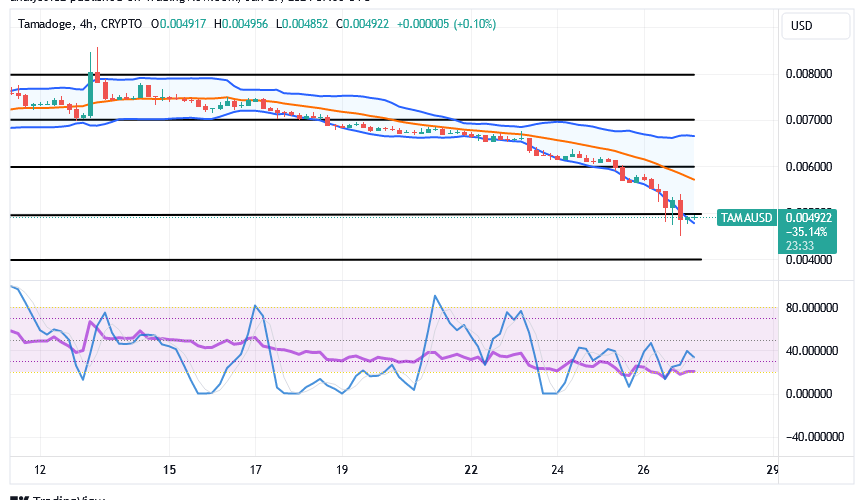 Tamadoge (TAMA/USD) Price Is Lowly, Searching for Spirals