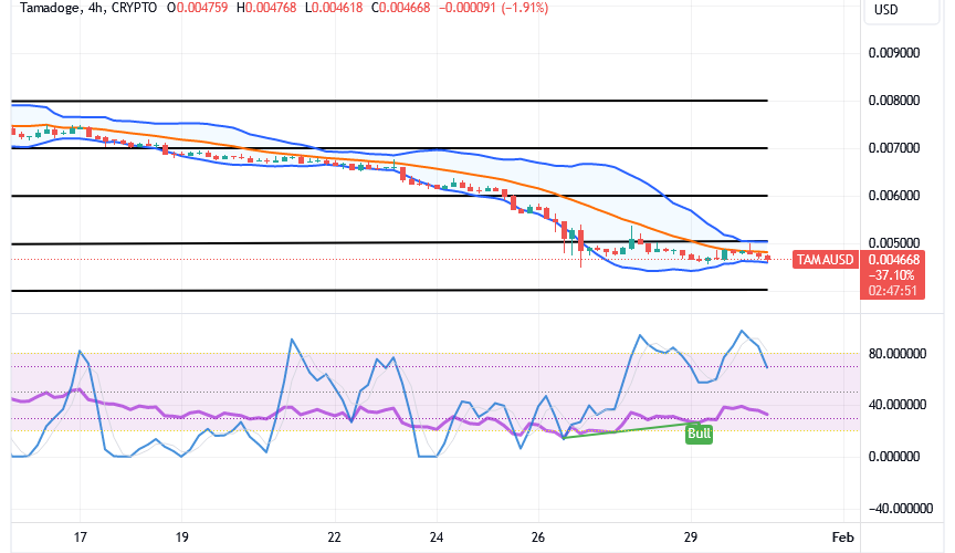 Tamadoge (TAMA/USD) Price Deepening Base, Holding a Hike