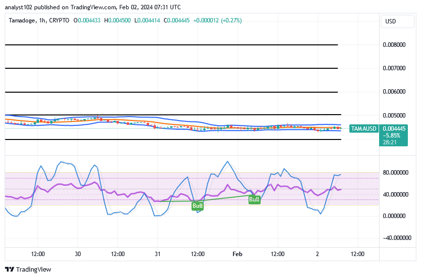 Tamadoge (TAMA/USD) Price Pushes Lowly, Composing Bounces