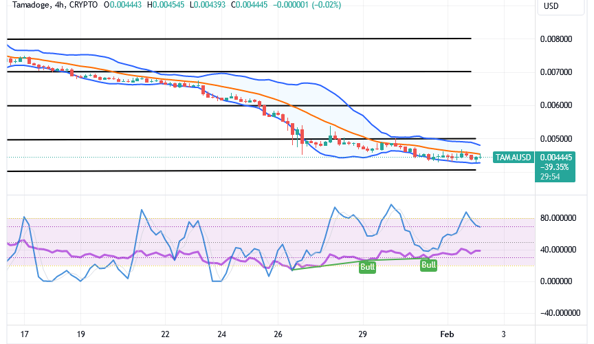 Tamadoge (TAMA/USD) Price Pushes Lowly, Composing Bounces