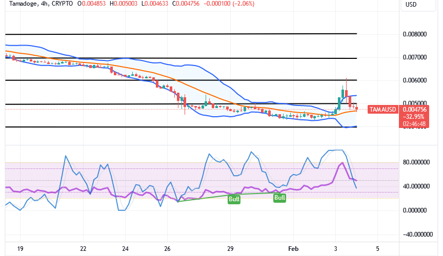 Tamadoge (TAMA/USD) Market Slows Action, Building Up Bounces