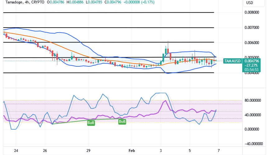 Tamadoge (TAMA/USD) Price Is Looming, Bounces Above $0.004