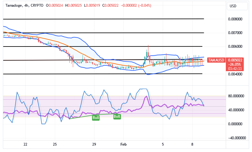 Tamadoge (TAMA/USD) Market Is Erratic, Holding Bounces Traits