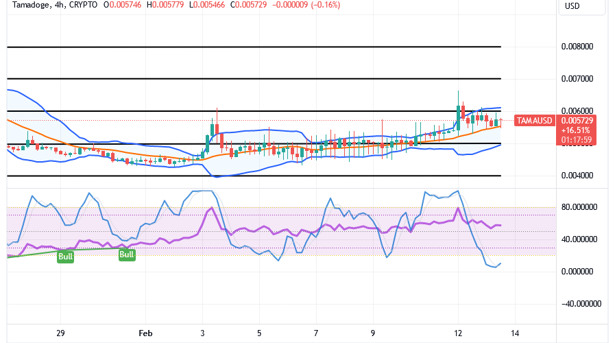 Tamadoge (TAMA/USD) Price Floats Above $0.004, Stays Bouncing