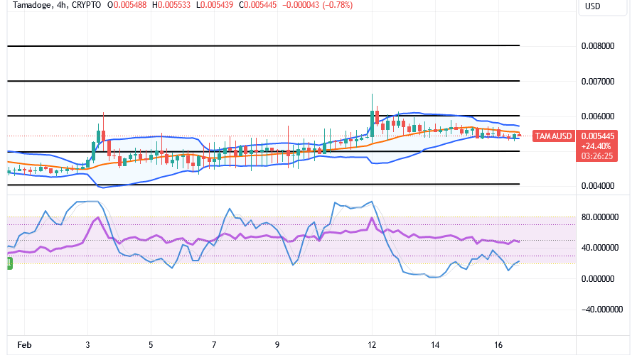 Tamadoge (TAMA/USD) Trade Stays Positive, Inclining a Spike