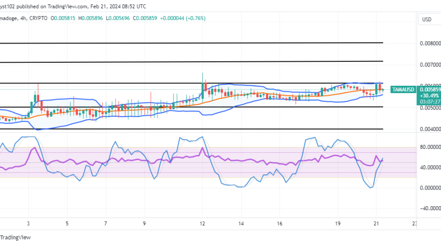 Tamadoge (TAMA/USD) Price Is Correcting, Keeping a Bounce Sign