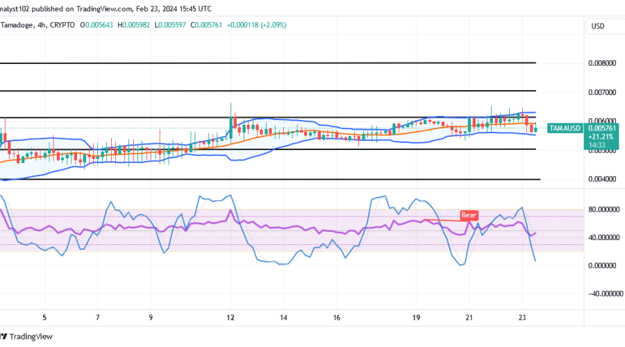 Tamadoge (TAMA/USD) Market Goes Lowly, Formulating Hike Signs