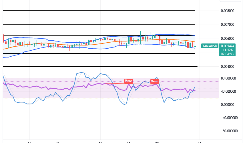 Tamadoge (TAMA/USD) Trade Sees a Low, Attempting Rise Inputs