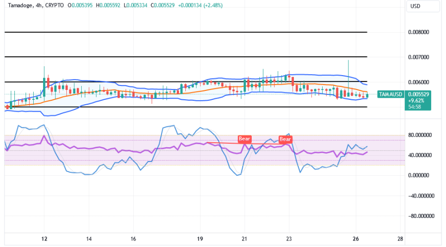 Tamadoge (TAMA/USD) Price Holds Bounces, Fine-tuning a Base