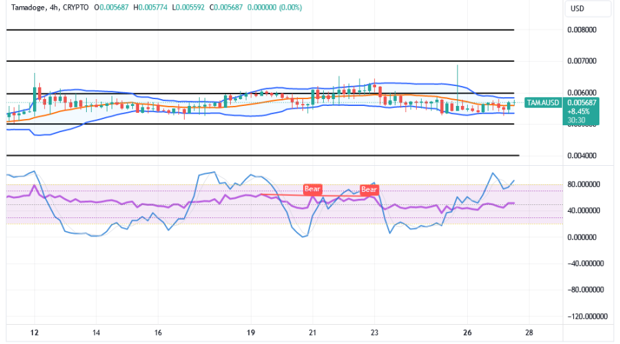 Tamadoge (TAMA/USD) Trade Is Setting a Base, Keeping Hikes