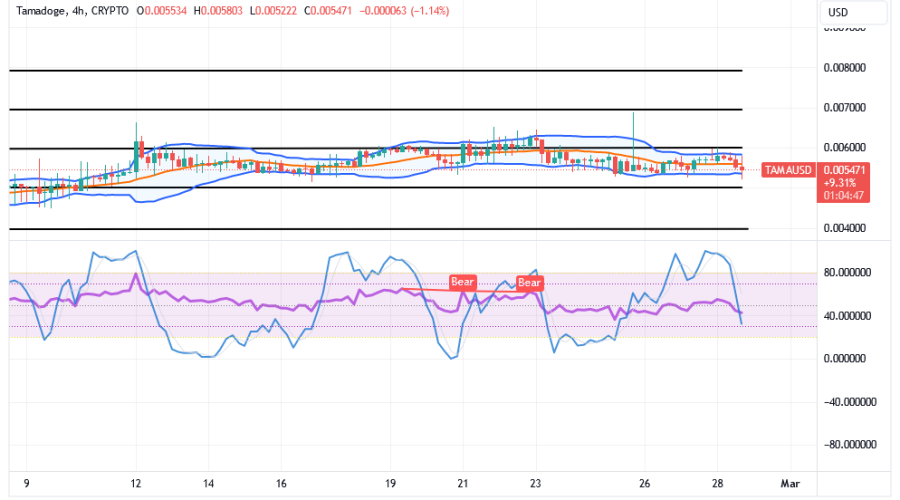Tamadoge (TAMA/USD) Price Is Bottoming, Tending a Spiral Sign