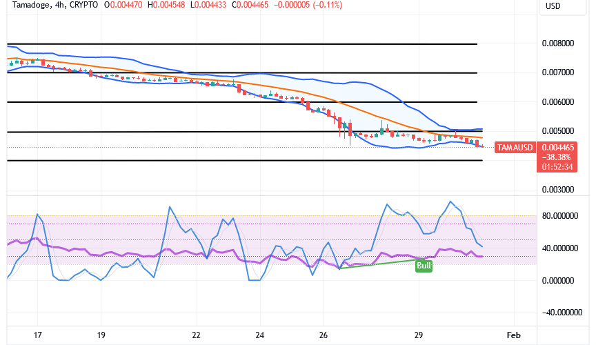 Tamadoge (TAMA/USD) Price Is Debasing, Holding Catalyst Input
