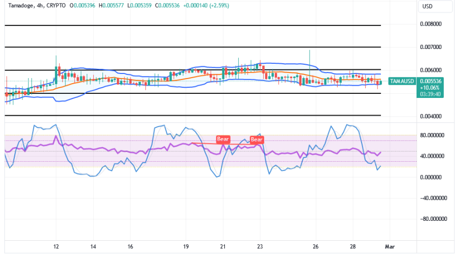 Tamadoge (TAMA/USD) Trade May Soar, With a Low Profile