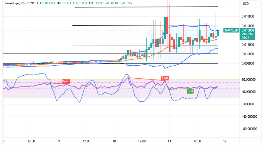 Tamadoge (TAMA/USD) Trade Is Erratic, Keeping Hike Signs