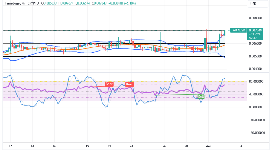 Tamadoge (TAMA/USD) Price Is Rising, Holding Hikes Indexes