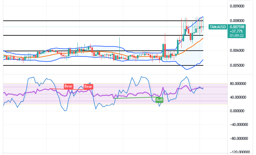 Tamadoge (TAMA/USD) Trade Touches $0.008, Setting Bounces