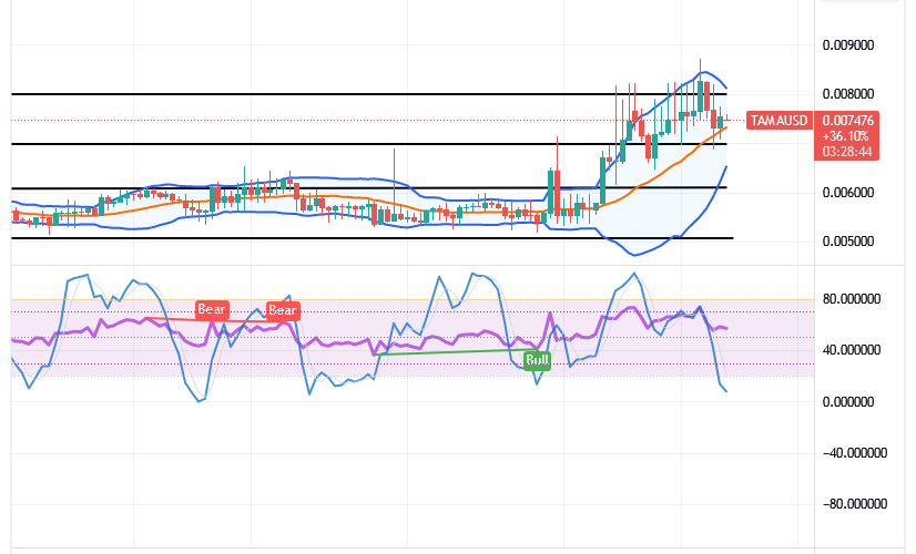 Tamadoge (TAMA/USD) Price Reverses, Conjecturing a Support