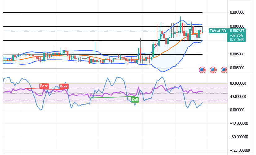 Tamadoge (TAMA/USD) Market Is Erratic, Holding Rise Signals