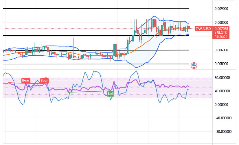 Tamadoge (TAMA/USD) Price Slows Actions, Conjecturing Spikes