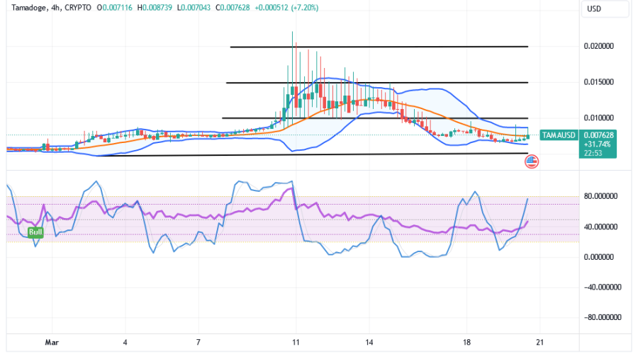 Tamadoge (TAMA/USD) Price Waves Low, Rebuilding a Rise Sign