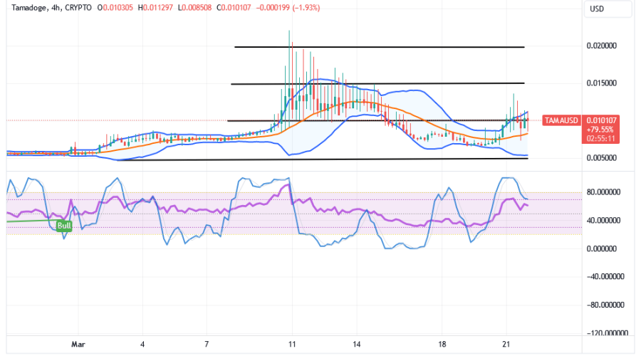 Tamadoge (TAMA/USD) Market Is Rising, Making a Baseline