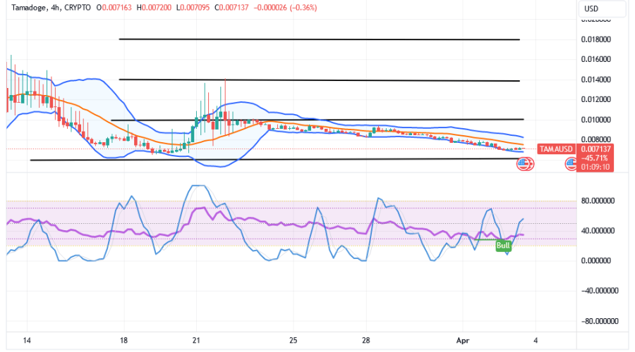Tamadoge (TAMA/USD) Price Delays Hikes, Identifying a Base