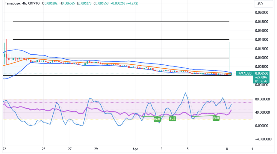 Tamadoge (TAMA/USD) Market Has Surged, Reverting to Support