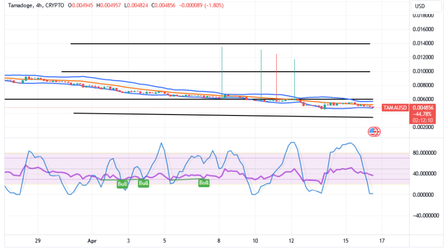 Tamadoge (TAMA/USD) Price Is Lowly, Holding Hikes Inputs