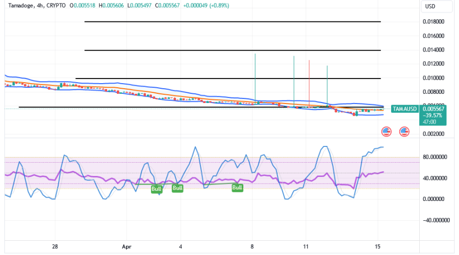 Tamadoge (TAMA/USD) Market Holds Lowly, Possessing Spike Inputs