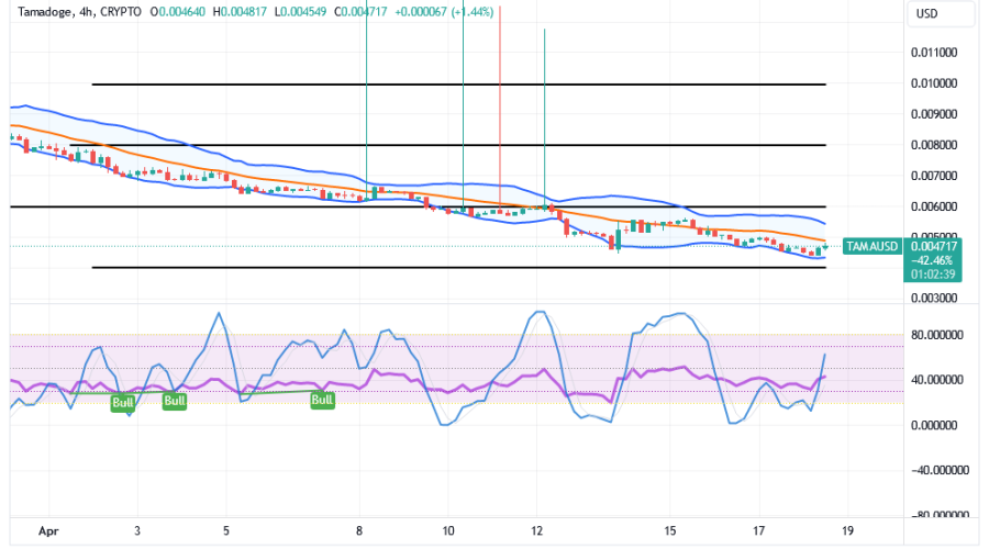 Tamadoge (TAMA/USD) Price Is Rising, Pulling Up Muscles