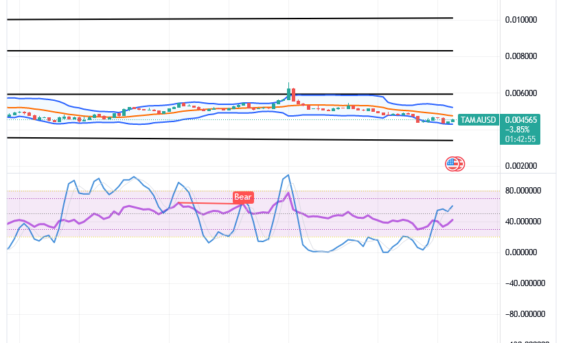 Tamadoge (TAMA/USD) Prices Are Spiking, Staying Lowly