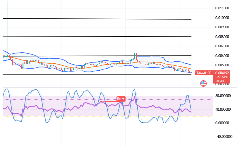 Tamadoge (TAMA/USD) Price Moves Down; Breeding Bounce Signs