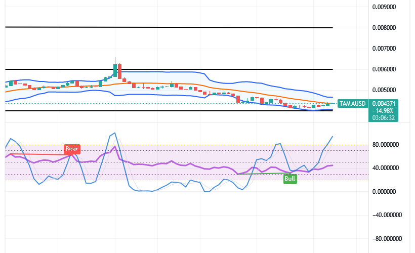 Tamadoge (TAMA/USD) Price Averages $0.004, Sets for Spirals