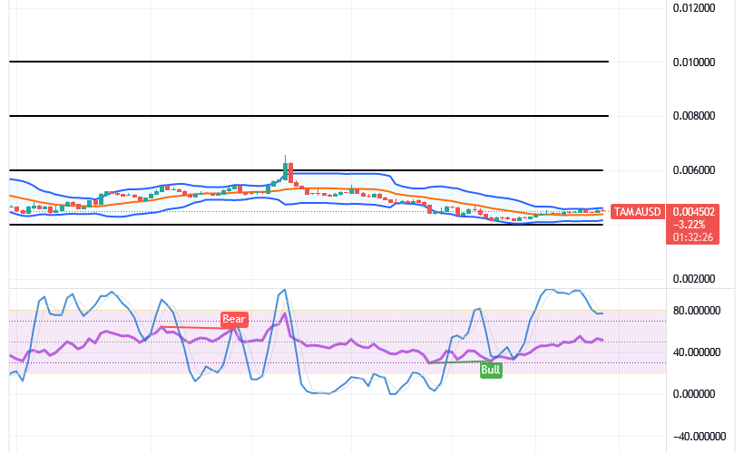 Tamadoge (TAMA/USD) Price Moves Slowly, Possessing Hike Signs