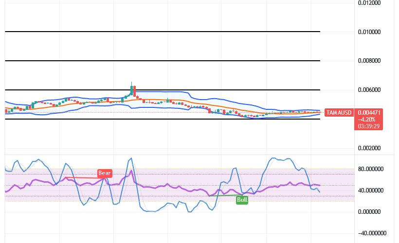Tamadoge (TAMA/USD) Price Presses Lower, Nurturing Hike Inputs