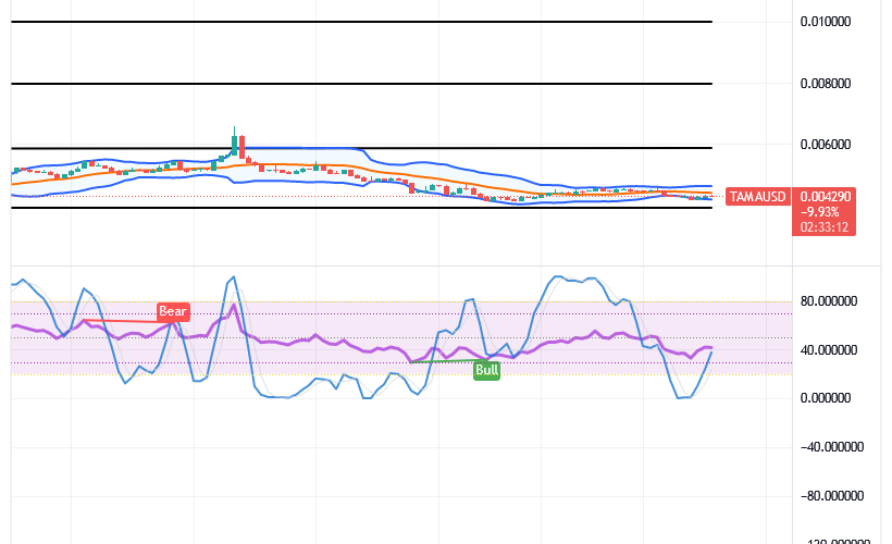 Tamadoge (TAMA/USD) Price Stays Above $0.004, Tending Rises