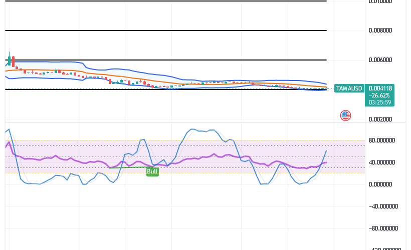 Tamadoge (TAMA/USD) Price Goes Lower, Touches a Pivot