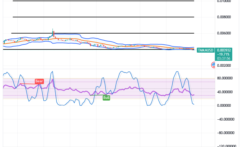 Tamadoge (TAMA/USD) Trade Is Lowering, Composing Rebounds