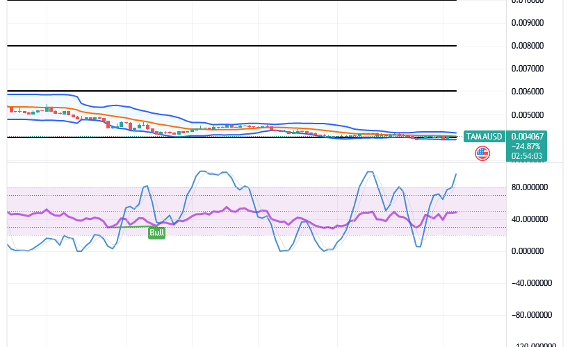 Tamadoge (TAMA/USD) Trade Prices Lowly, Holds Hike