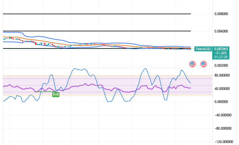 Tamadoge (TAMA/USD) Price Is Bouncing, Bottoming at $0.004