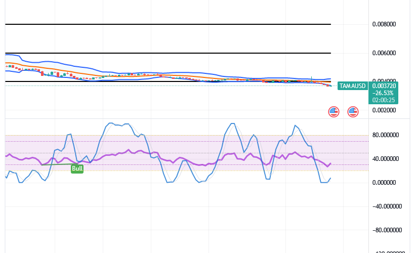 Tamadoge (TAMA/USD) Trade Is Jerking Low, Finding Supports