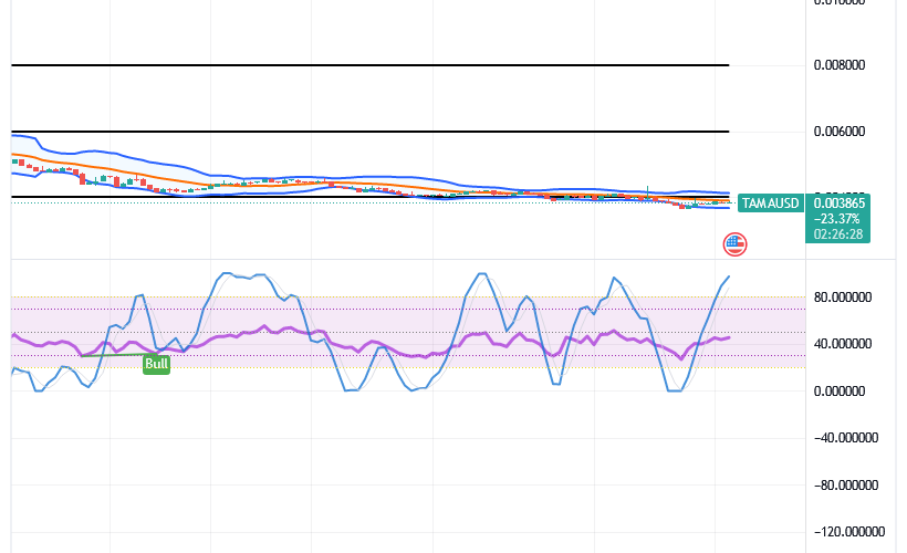 Tamadoge (TAMA/USD) Price Is Hovering, Garnering Bounces