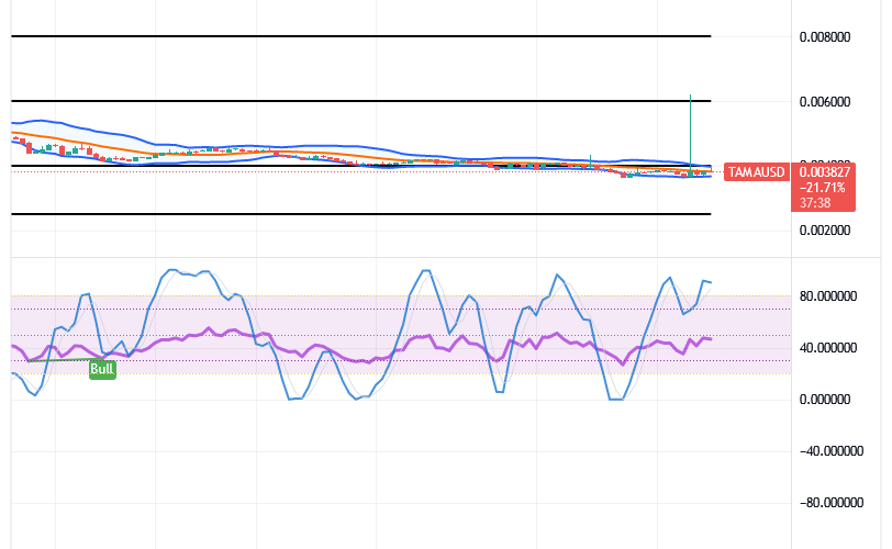 Tamadoge (TAMA/USD) Price Shakes Up, Rebuilding Hike Signs