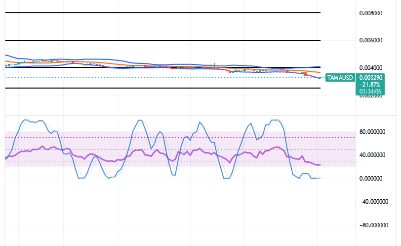 Tamadoge (TAMA/USD) Price Reduces Drops, Settling Spikes Inputs