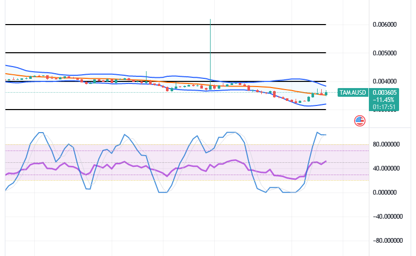 Tamadoge (TAMA/USD) Price Gets Lower Spots, Holding Spikes