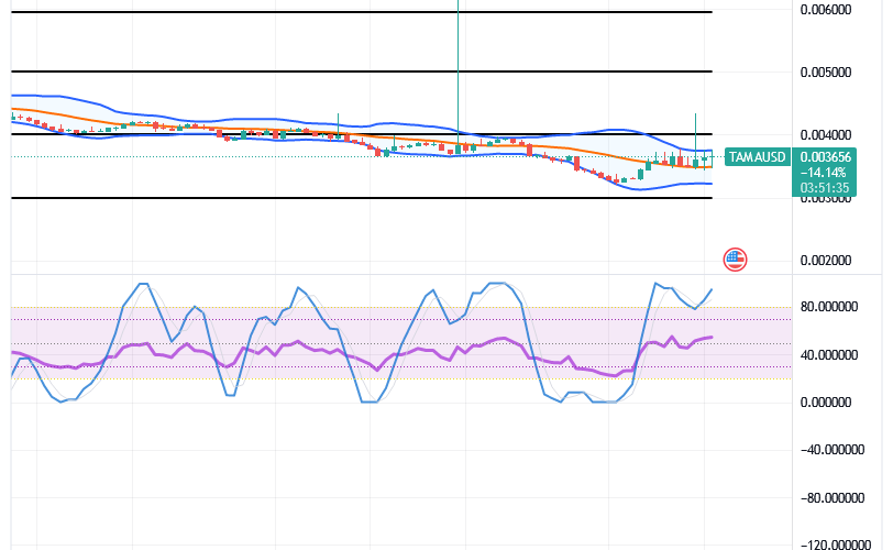Tamadoge (TAMA/USD) Price Bounces, Trading Below $0.005