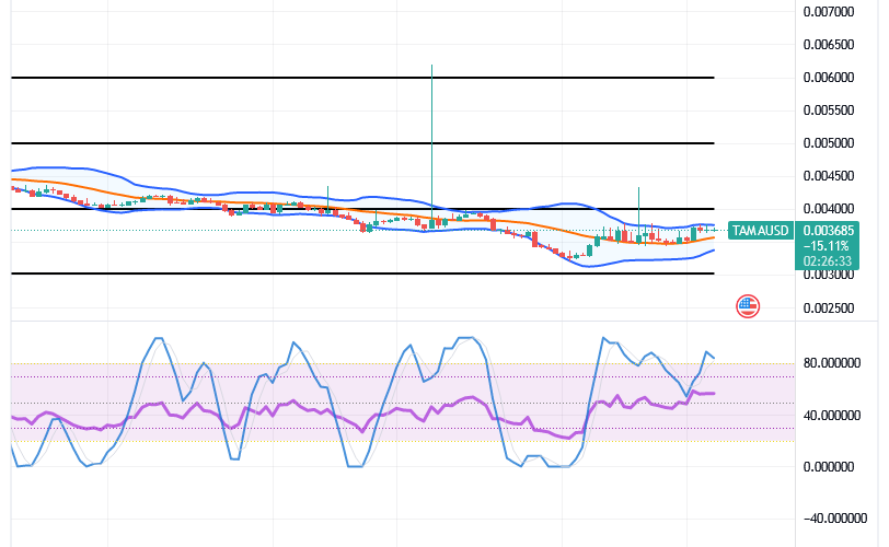 Tamadoge (TAMA/USD) Price Has Recessed, Holding Spike Inputs