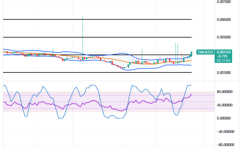 Tamadoge (TAMA/USD) Price Faces Barriers, Raises Hikes
