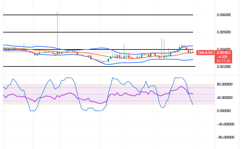 Tamadoge (TAMA/USD) Price Hovers, Breeding Spiral Indices