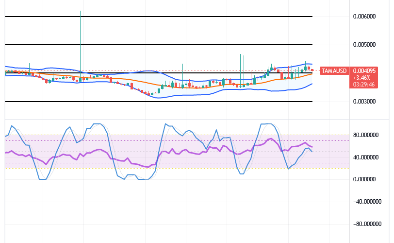 Tamadoge (TAMA/USD) Price Is Beefing Up, Moving in Ranges